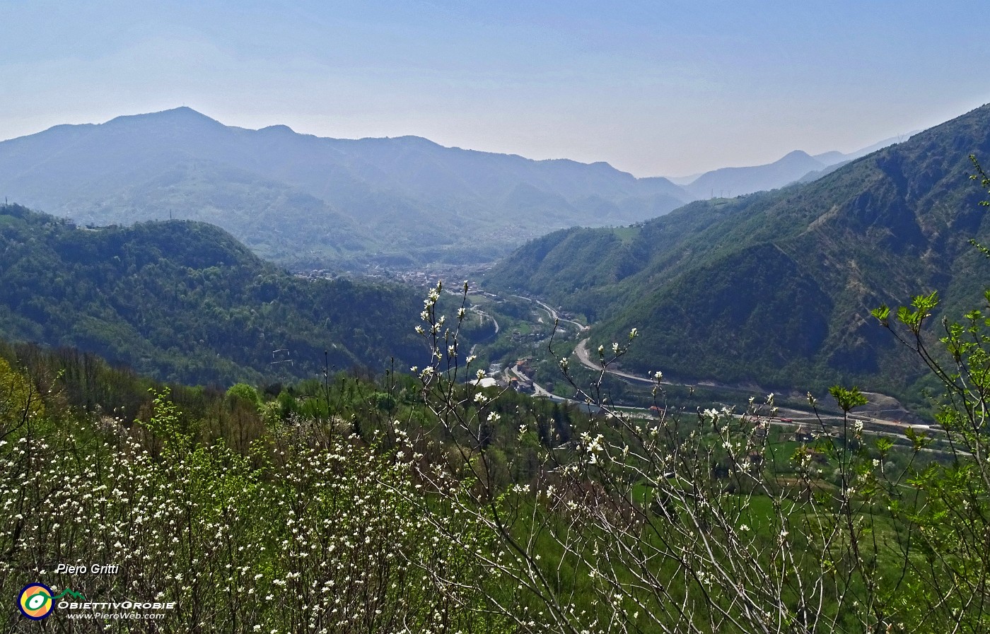 25 Bianche fioriture con vista verso Zogno e il Canto Alto.JPG -                                